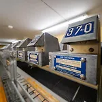 Premium In/out - Steinadler Daire Obertauern
