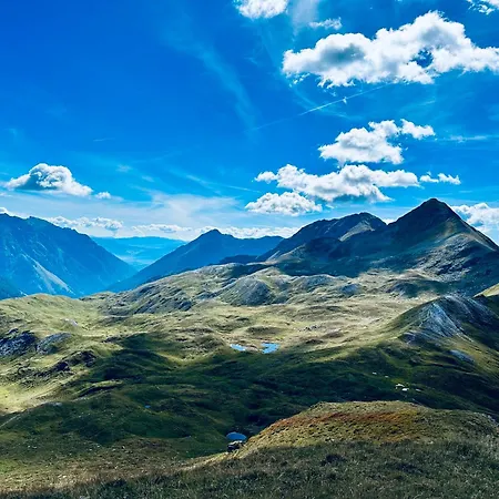 Premium In/out - Steinadler * オーバータウエルン