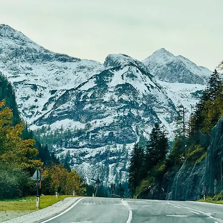 Premium In/out - Steinadler アパート *