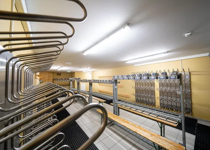 Premium In/out - Steinadler *