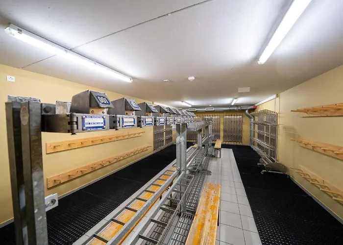 Premium In/out - Steinadler オーバータウエルン