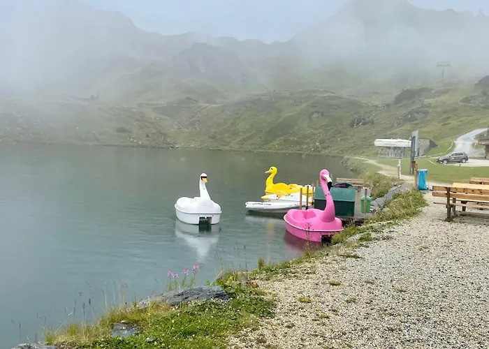 Premium In/out - Steinadler