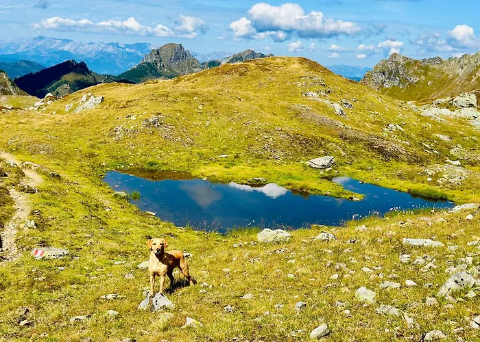 Premium In/out - Steinadler アパート *