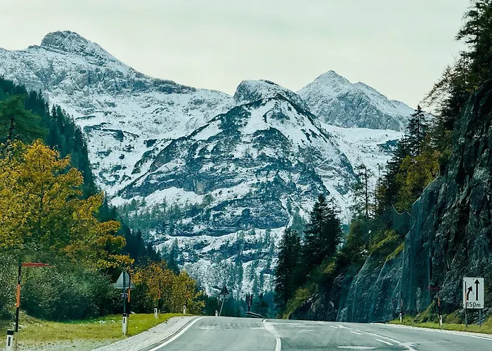 Premium In/out - Steinadler アパート *