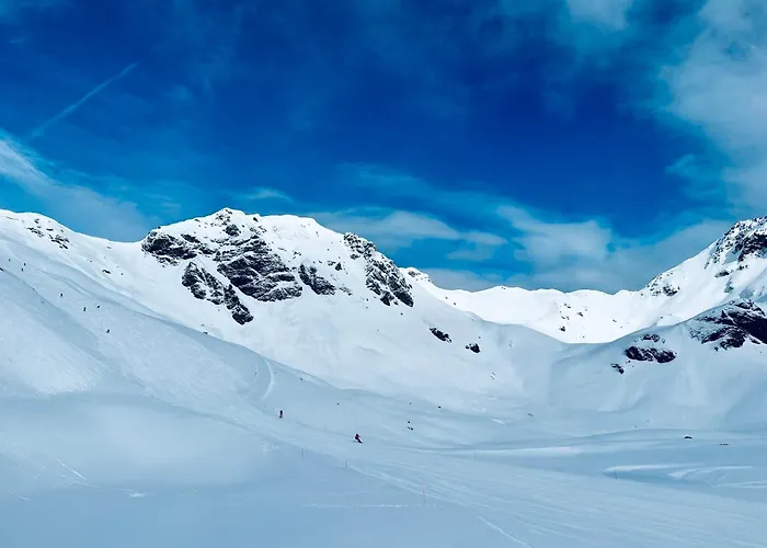 アパート Premium In/out - Steinadler *