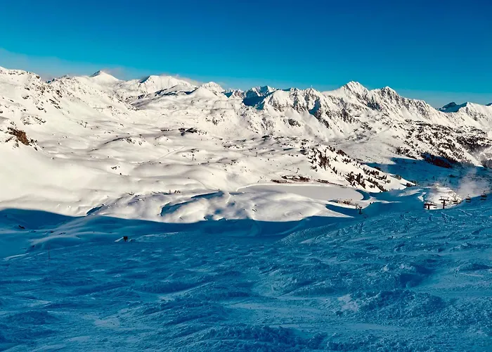 Premium In/out - Steinadler Apartment